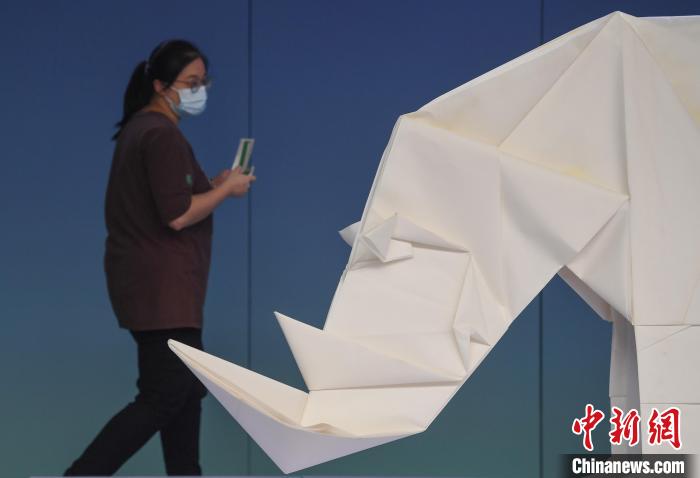海内外艺术家纸艺精品杭州展出1.4米高折纸白犀牛亮相